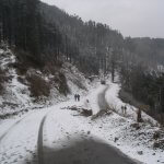 shimla