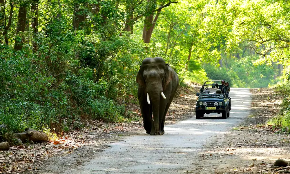 Jim Corbett