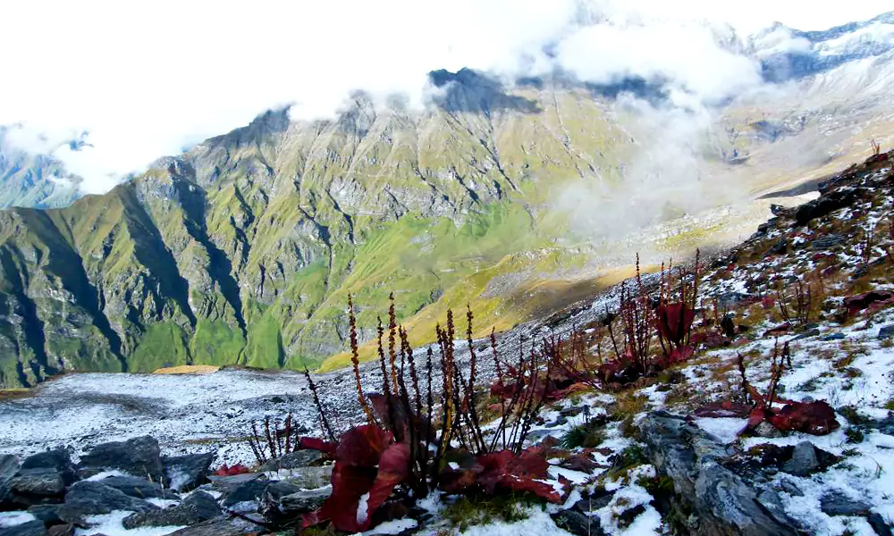 Nanda Devi National Park