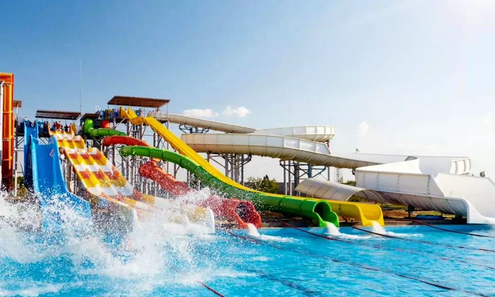 Dolphin Water Park